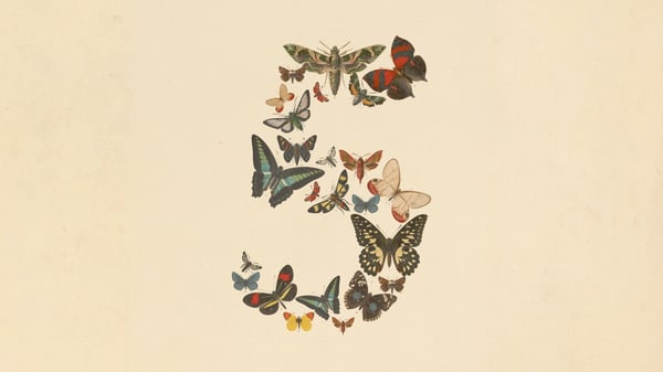 Officieel Anthropic-beeld bij de aankondiging van Claude Fable 5