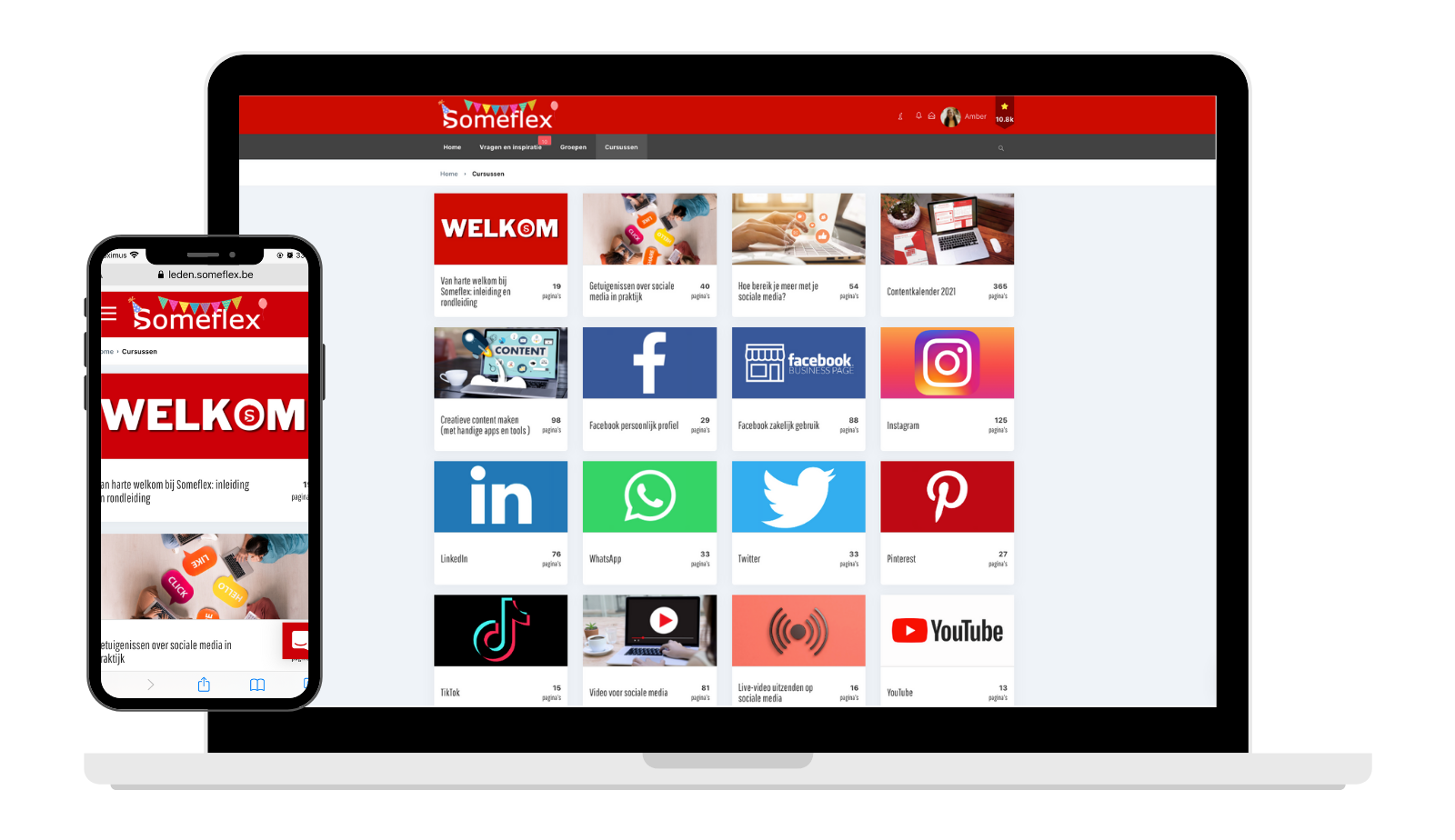 someflex-online-sociale-media-leren