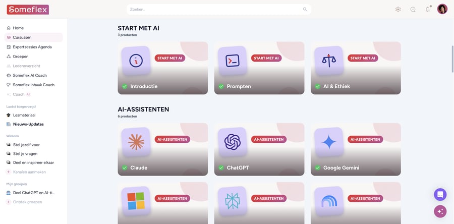 Het Someflex-leerplatform