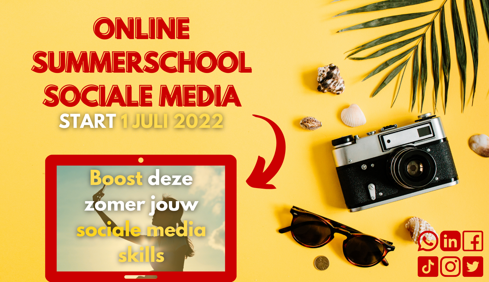 Online summerschool sociale media, deze zomer opleiding sociale media volgen, waar en wanneer jij wilt
