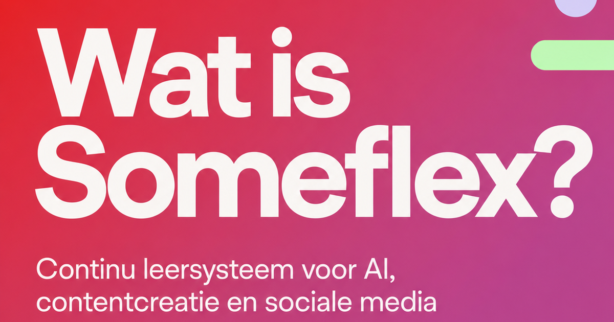 Wat is Someflex? Zo werkt het Nederlandstalige continu leersysteem