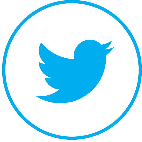 twitter logo someflex